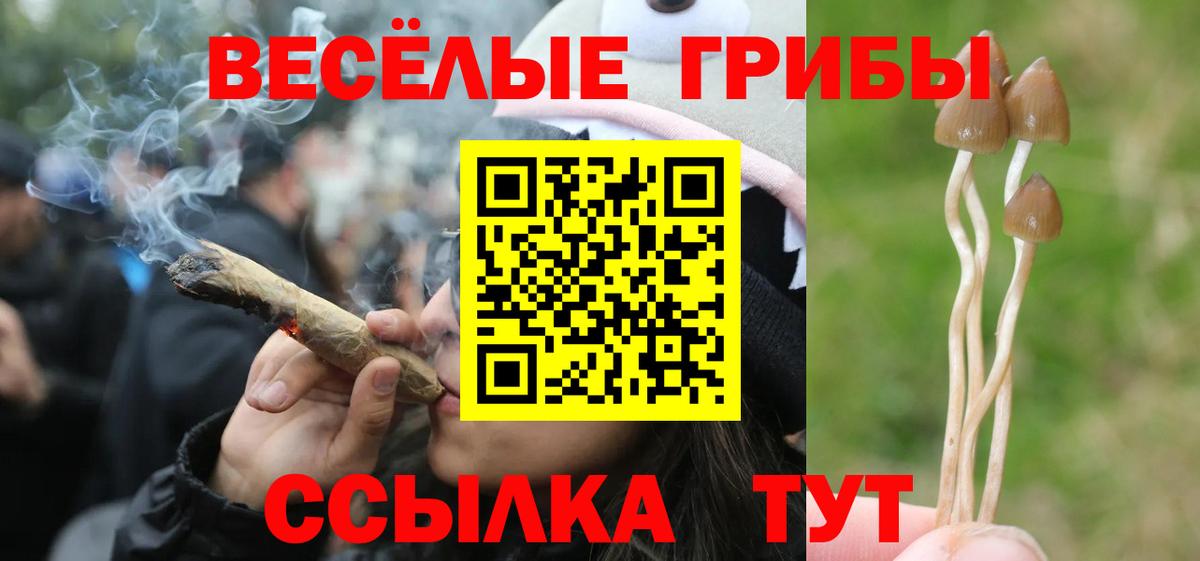 Псилоцибиновые грибы мухоморы Кольчугино