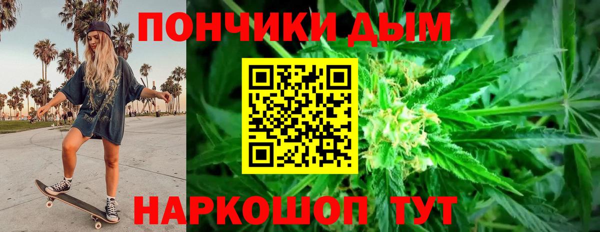 Каннабис сатива Кольчугино